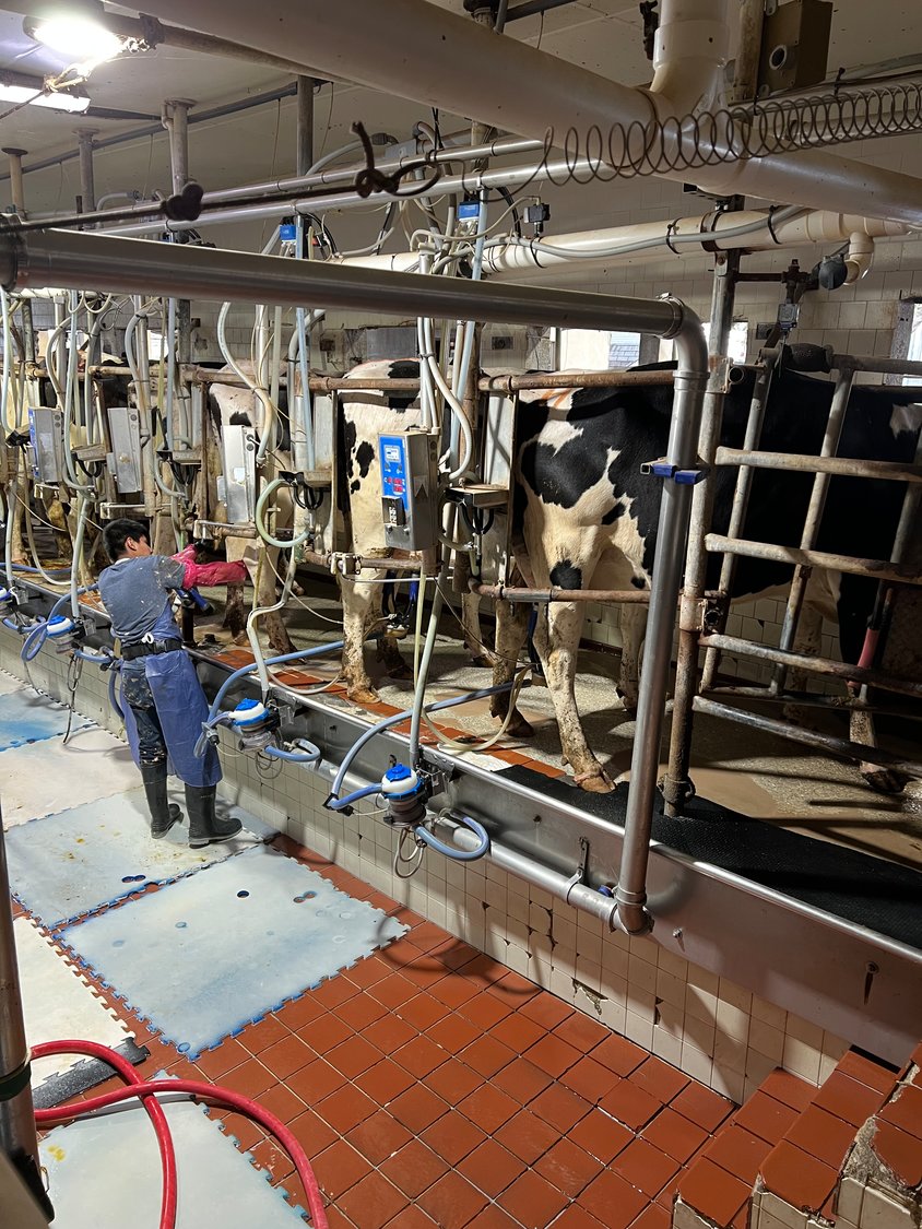 the current milking parlor at Milkin R Dairy can milk 28 cows at a time